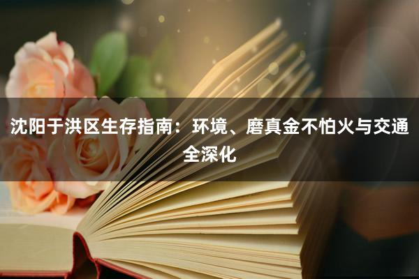 沈阳于洪区生存指南：环境、磨真金不怕火与交通全深化